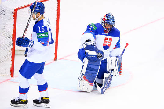 Goalkeeper Julius Hudacek of Slovakia looks dejected