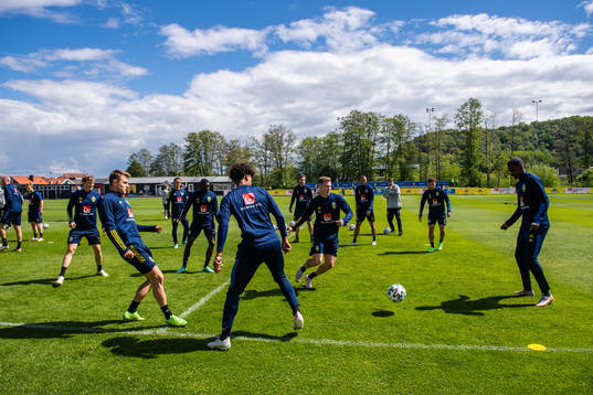 Players of Sweden