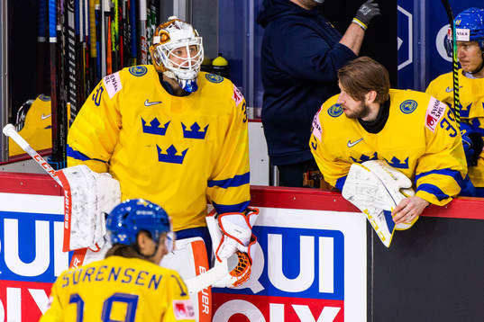 goalkeeper Viktor Fasth and goalkeeper Adam Reideborn of