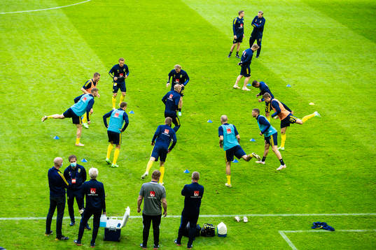 Players of Sweden