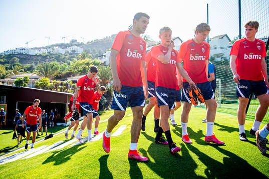 Mohamed Elyounoussi, Birger Meling and Jens Petter Hauge of