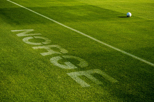 General view of the pitch