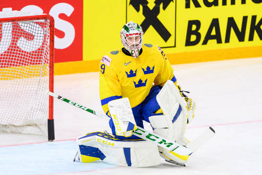 Goalkeeper Adam Reideborn of Sweden