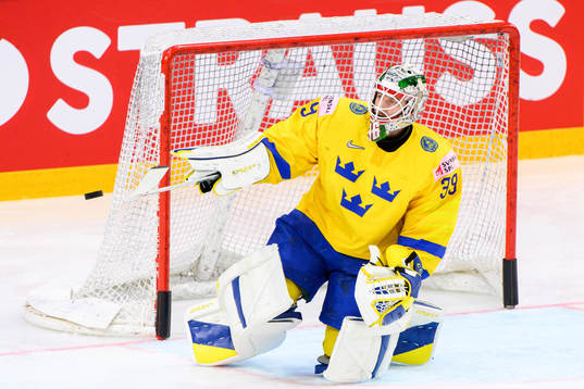 Goalkeeper Adam Reideborn of Sweden
