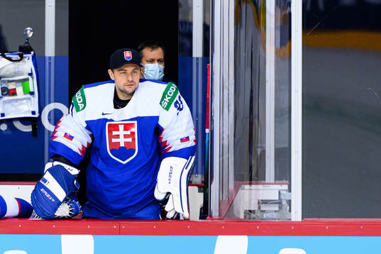 Goalkeeper Julius Hudacek of Slovakia