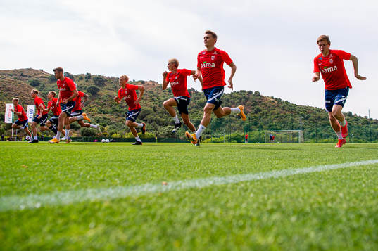 Martin Ødegaard, Jens Petter Hauge and the players of the