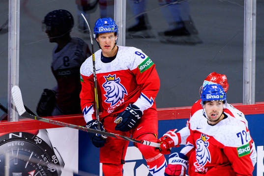 David Sklenicka of Czech Republic