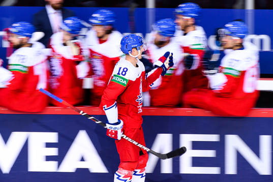 Dominik Kubalik of Czech Republic celebrates the 1-1 goal