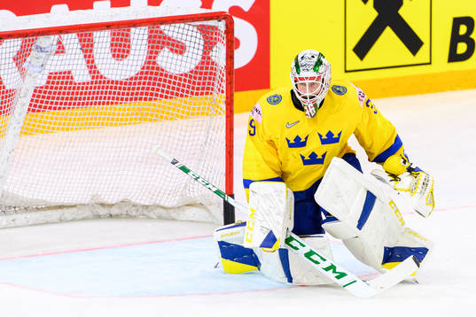 Goalkeeper Adam Reideborn of Sweden