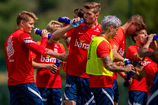 Martin Ødegaard and the players of the Norwegian national