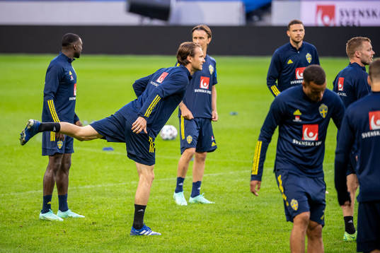 Albin Ekdal of the Swedish national football team