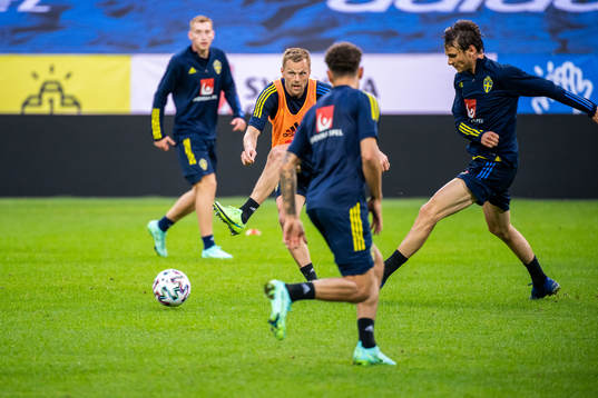 Sebastian Larsson and Albin Ekdal of the Swedish national