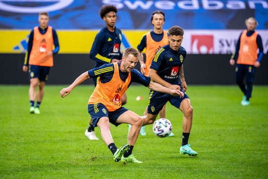 Sebastian Larsson and Jordan Larsson of the Swedish