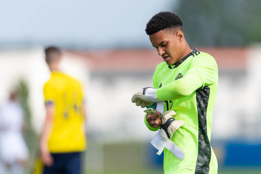 Goalkeeper Oliver Dovin of Sweden