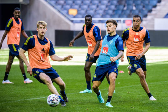 of the Swedish national football team