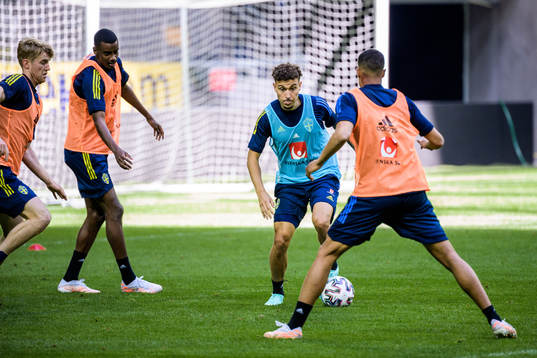 of the Swedish national football team
