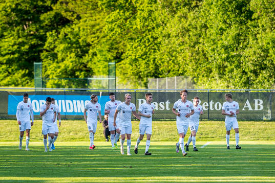 Hittarps spelare jublar