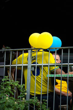 A Swedish fan
