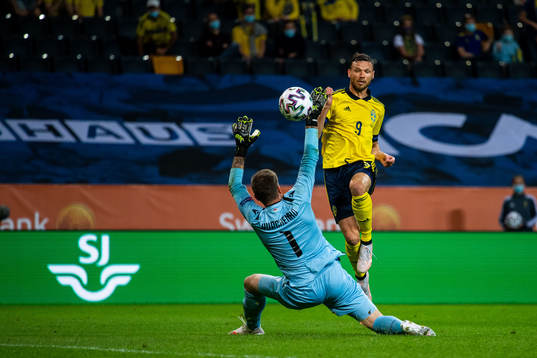 Goalkeeper Davit Yurchenko of Armenia and Marcus Berg of