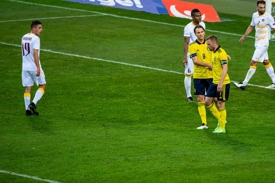 Sebastian Larsson and Albin Ekdal of Sweden