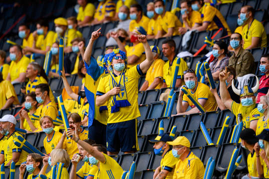 during the international friendly football match between