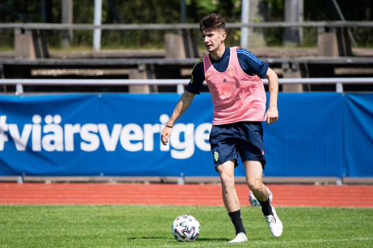 Armin Gigovic
