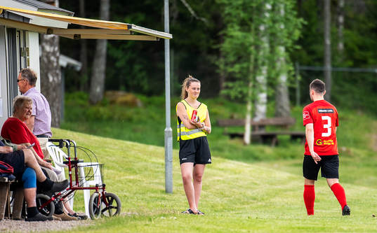 Åryds Elvedin Mesinovic lämnar planen