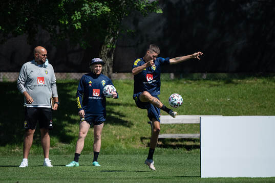 Emil Forsberg and Mikael Lustig of the Swedish national