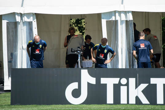 Marcus Danielson and Jordan Larsson of the Swedish national