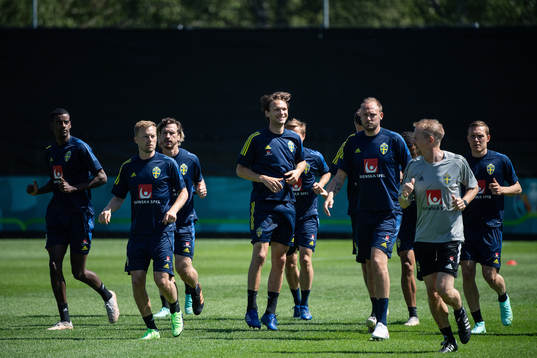 Albin Ekdal of the Swedish national football team at a