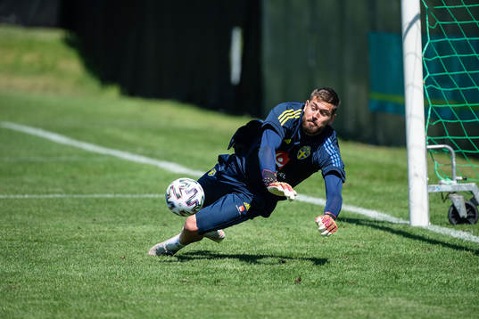 goalkeeper Kristoffer Nordfeldt of the Swedish national