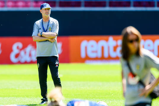 Peter Gerhardsson, Head coach
