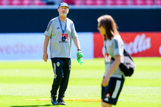 Peter Gerhardsson, Head coach