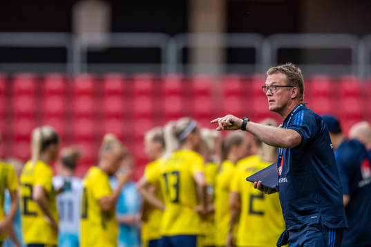 Leif Troedsson, Goalkeeper coach of Sweden