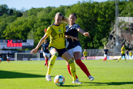 Sveriges Ellen Wangerheim