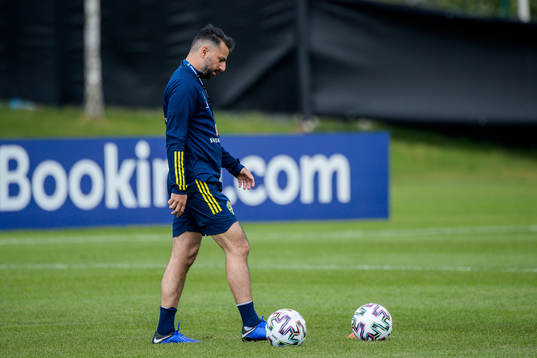 Poya Asbaghi, temporary coach of the Swedish national