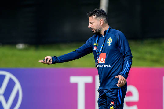 Poya Asbaghi, temporary coach of the Swedish national