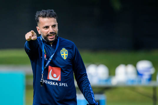 Poya Asbaghi, temporary coach of the Swedish national