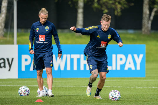 Niclas Hult and Mattias Johansson of the Swedish national