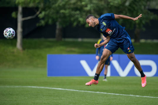 Isaac Kiese Thelin of the Swedish national football team's
