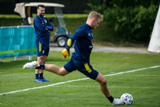 Poya Asbaghi, temporary coach of the Swedish national