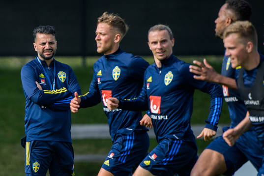 Poya Asbaghi, temporary coach of the Swedish national