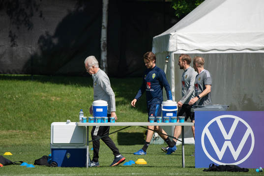 Albin Ekdal of the Swedish national football team at a
