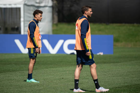 Jordan Larsson and Marcus Berg of the Swedish national
