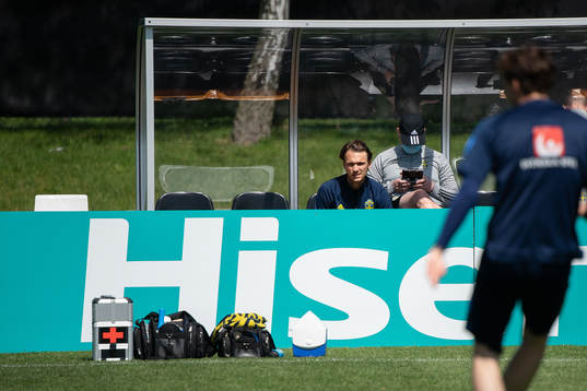 Albin Ekdal of the Swedish national football team at a