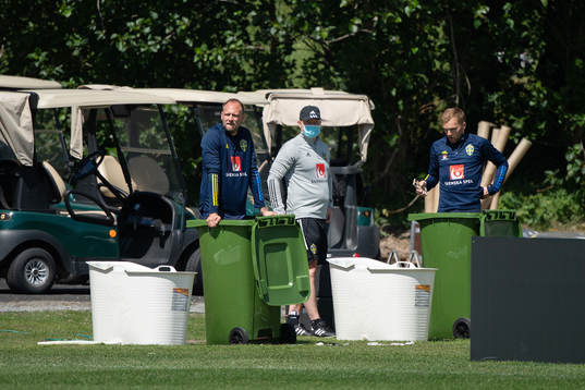 Andreas Granqvist and Sebastian Larsson of the Swedish