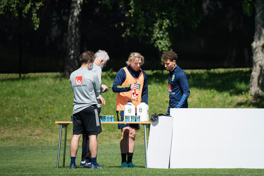 Emil Forsberg and Jordan Larsson of the Swedish national