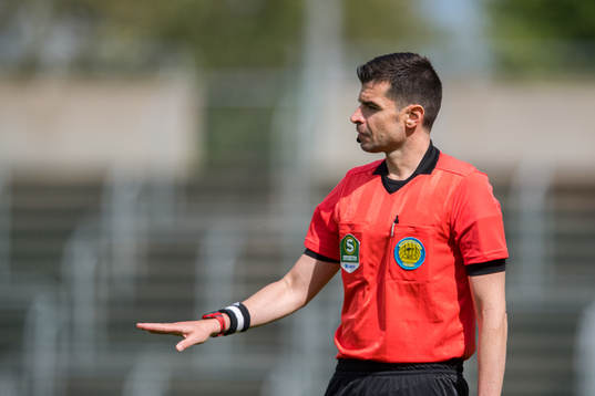 Domare Enzo Vesprini