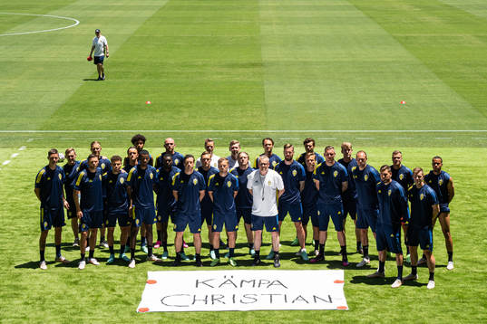 In this handout photo from the Swedish Football Association