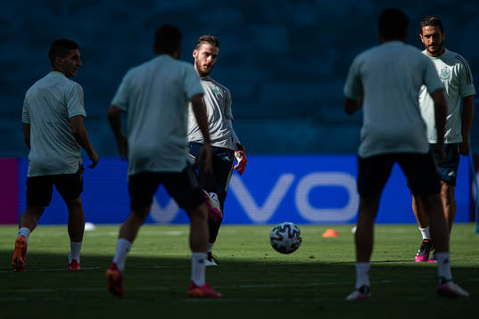 David de Gea of the Spanish national football team at a